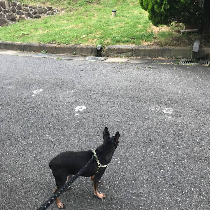 F1df5955 ec05 4ff6 8578 dc52b2d74ae6 1566049738031