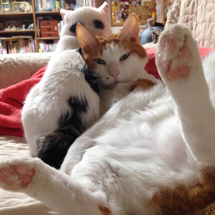 F1df6db3 e178 4ea2 a73e 4d16ffdd6ba3 1547882600818