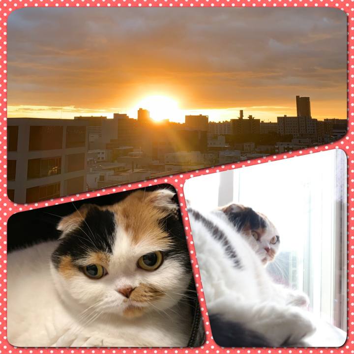 F1dfd654 17f8 4413 8de8 42c626273cdc 1571090217326