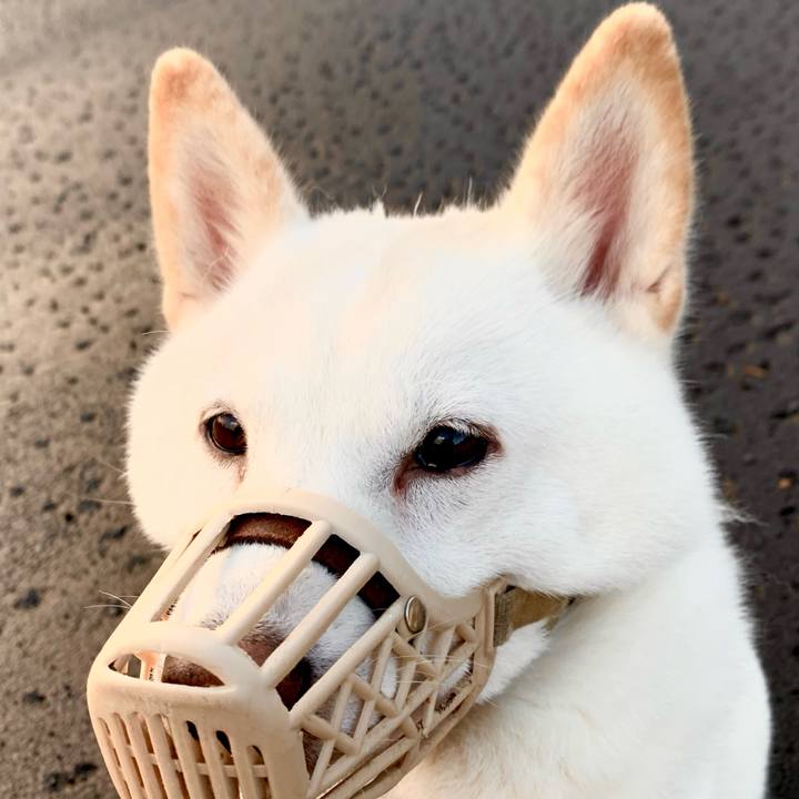 F1dfe4d9 f070 4336 b274 18bd225fb7ed 1603061126846