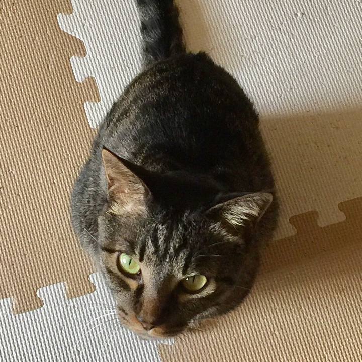 F1dfe769 4b29 43d7 86fe 5e323bd94fa1 1547901428954