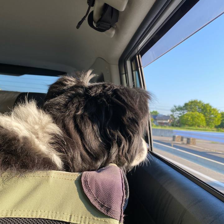 F1dff06b b012 490c 83e9 b37c78258b10 1651615601880