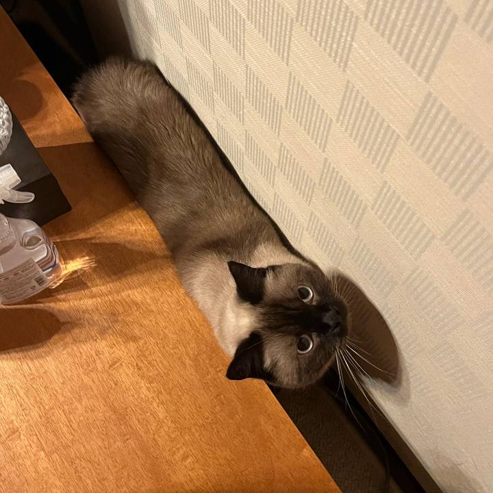 F1dffd75 5579 4206 8198 668e2fa16003 1694690235193