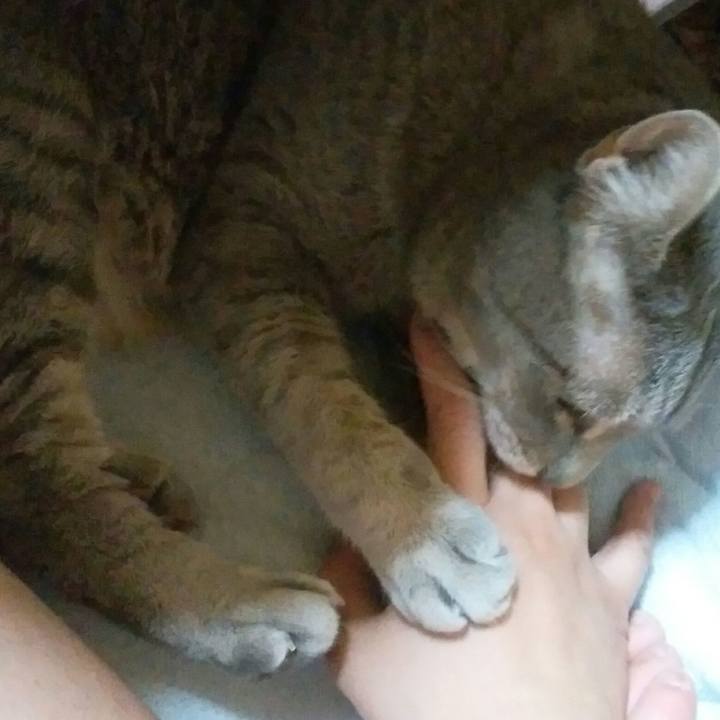 F1e02fe5 630b 4f4e 8dd0 b933d1270834 1590327878485