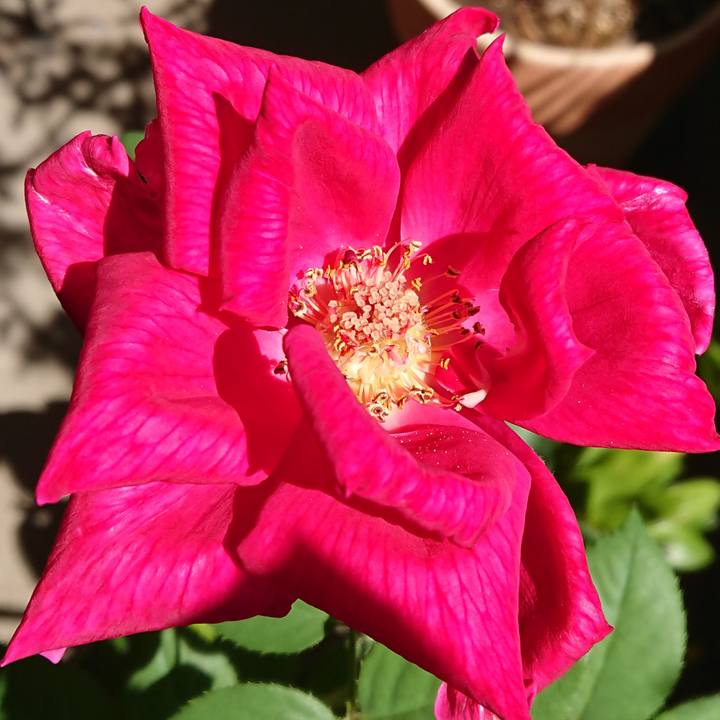 F1e060f9 aa7f 4cc3 af55 bb7559d7e10b 1535249568528