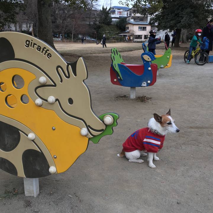 F1e061a7 2138 491f 8b8e 06a466d3490a 1610580186779