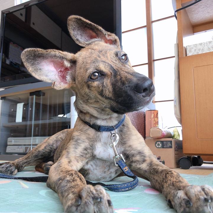 F1e06cec 7426 4378 a477 b20bfd13d0a0 1570163308994