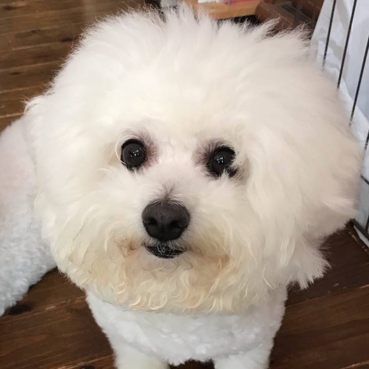 F1e07084 c3b2 465d a6c8 b35aa6481cda 1592706518434