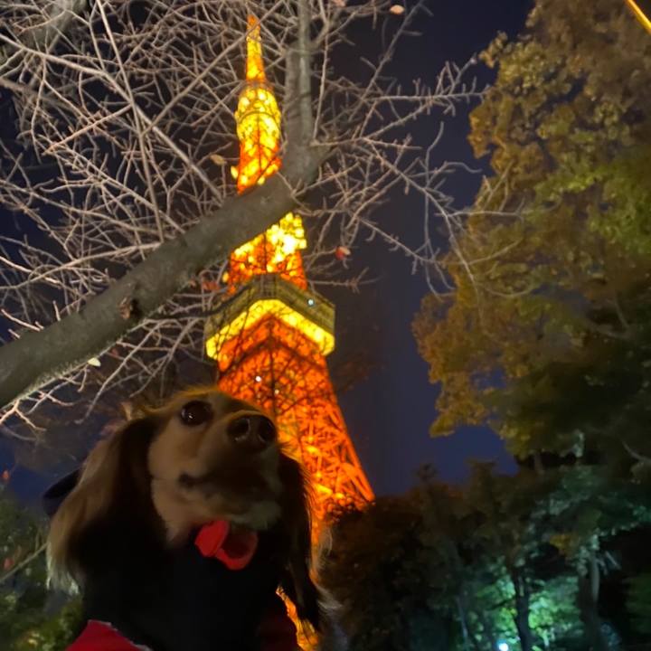 F1e097c0 64bf 420f b623 5809bc6b93f6 1638011686407