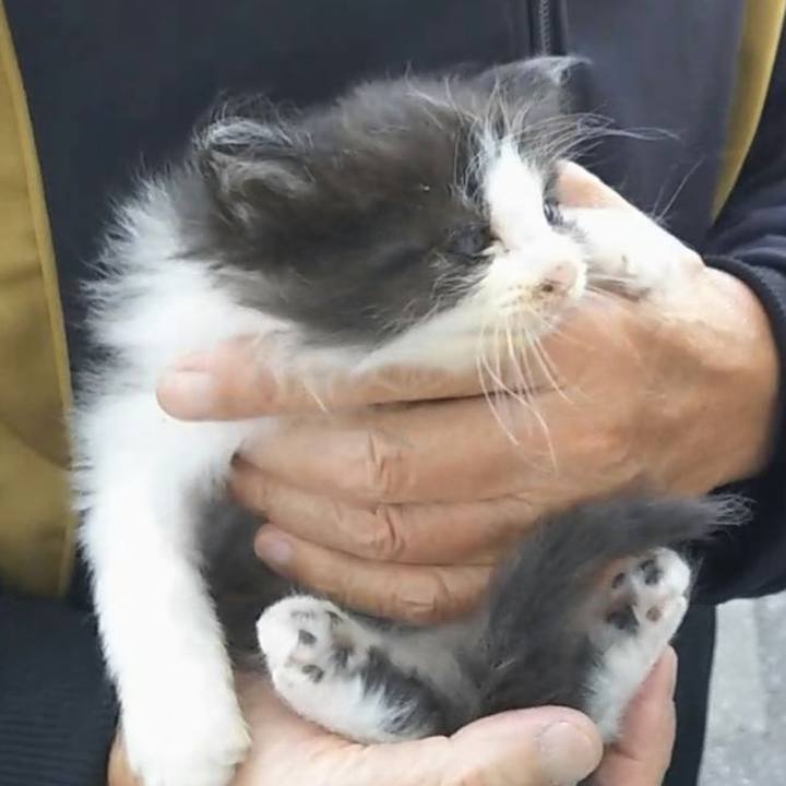 F1e0a268 3c0a 4f5f 8f6b 61a4ce9f1418 1557876855384