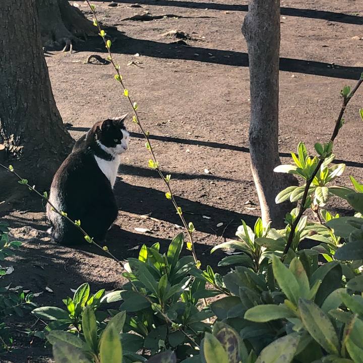 F1e0b7c7 b4be 41d6 8d00 20b008378056 1520002630103