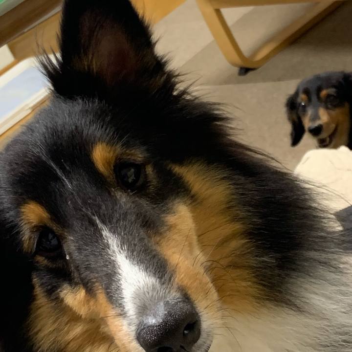 F1e0c120 0356 452c 8269 9ba00bbaae4d 1572558041220