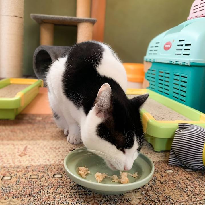 F1e0d7dc 5f65 4689 88f1 625d616d518f 1580607068281