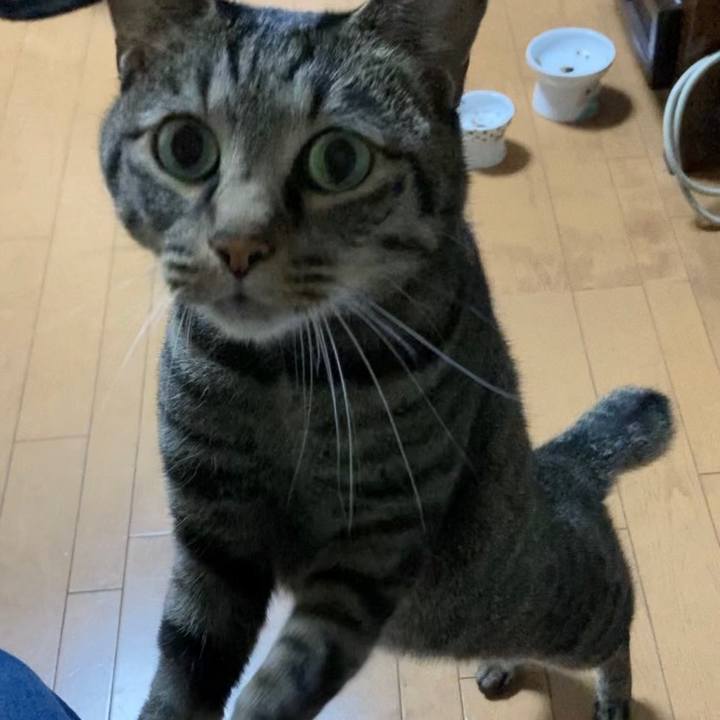 F1e132aa 60df 46dc a3b7 4c9ad97c00d5 1669276374301