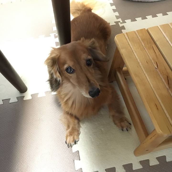 F1e1342e 5a47 4293 b83b 31c44fa52a0c 1600002238162