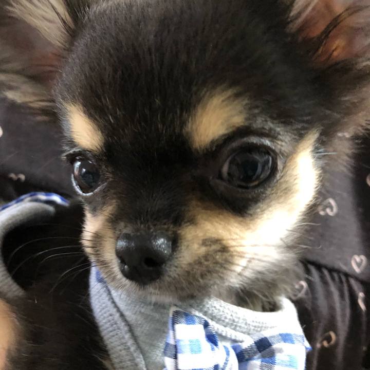 F1e1b2b6 5845 4f00 b0aa 928a19ccee36 1541758525293