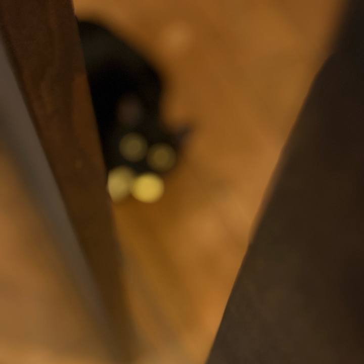 F1e26676 ae6e 4c6d bdf3 d0830af02357 1767167869713