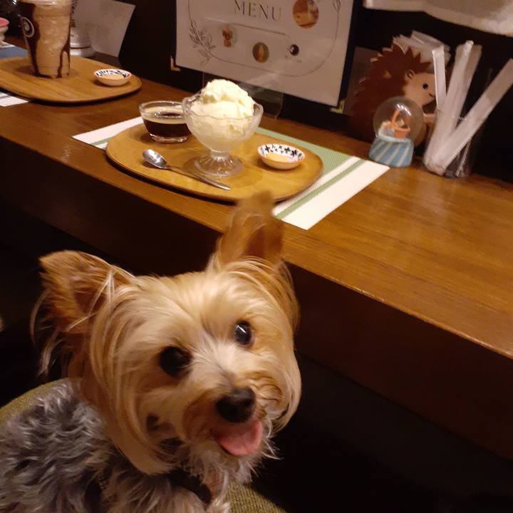 F1e27f90 efa2 4a4d b332 8bda60e30801 1691016247756