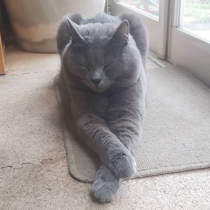 F1e2dbf2 43c5 49e9 9c6a 5898f3c353b7 1558397811694