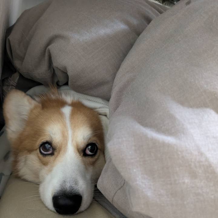 F1e3448e 1df9 4e1e 89ad a92162879c68 1767668892940