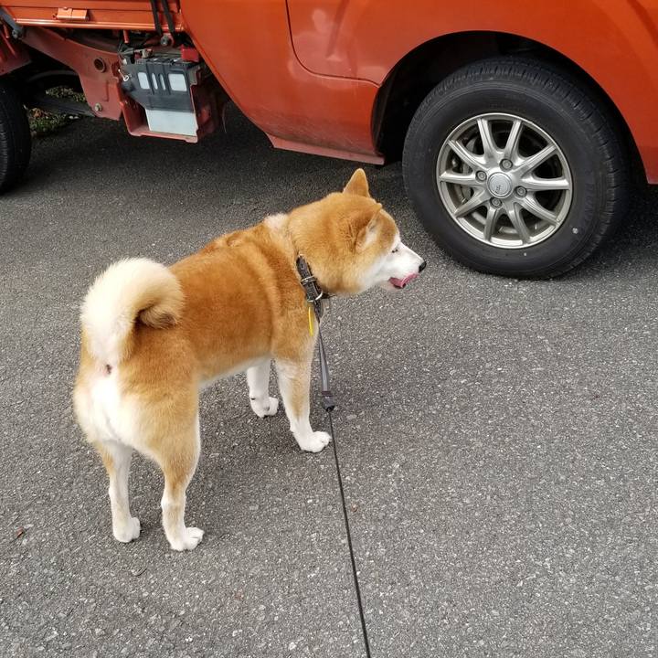 F1e34510 1c47 4943 b2c8 687f9f4fcc88 1599892931008