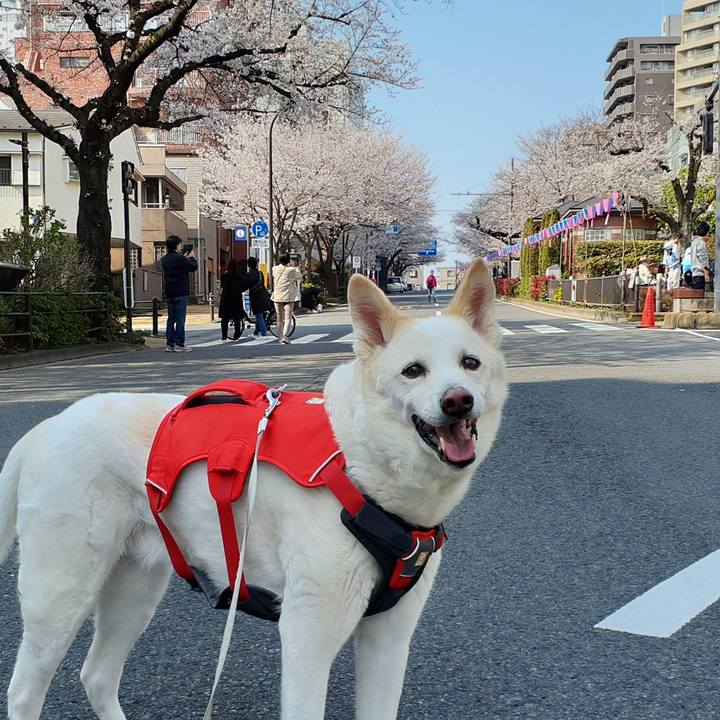 F1e3b4aa c288 4413 828f 95e674dd8675 1774772779503