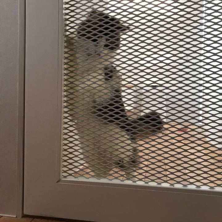 F1e3e97d f998 45e6 9dfa 98527a1f4af9 1519081078905