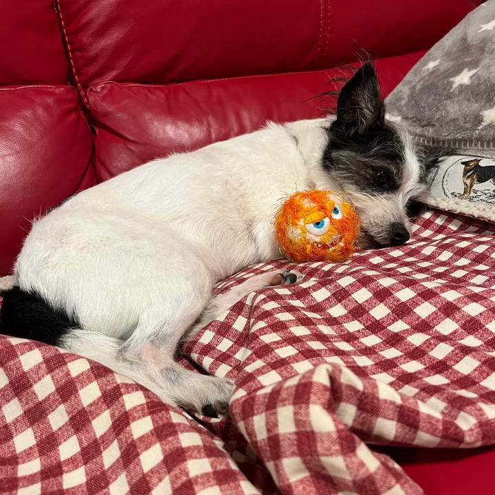 F1e40701 96b2 40dc 91b5 f7a9252f4b50 1760355495905