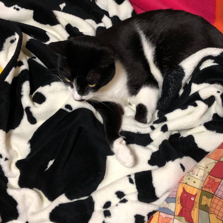 F1e4183e 8898 4690 8b13 551a415b2a95 1553828622480