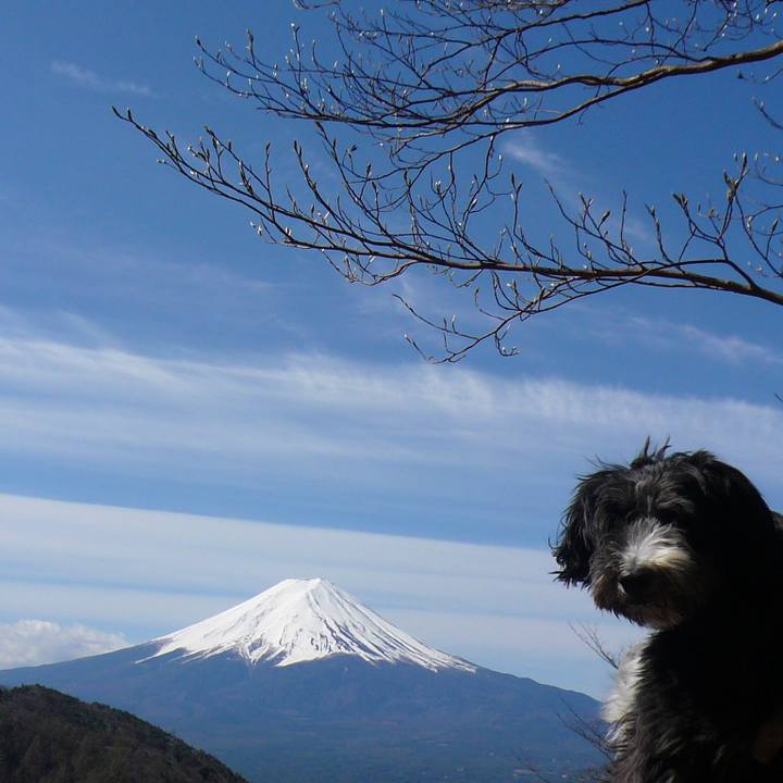 F1e476a2 b7f7 42fc 82e6 9796f25eacf4 1512351135442