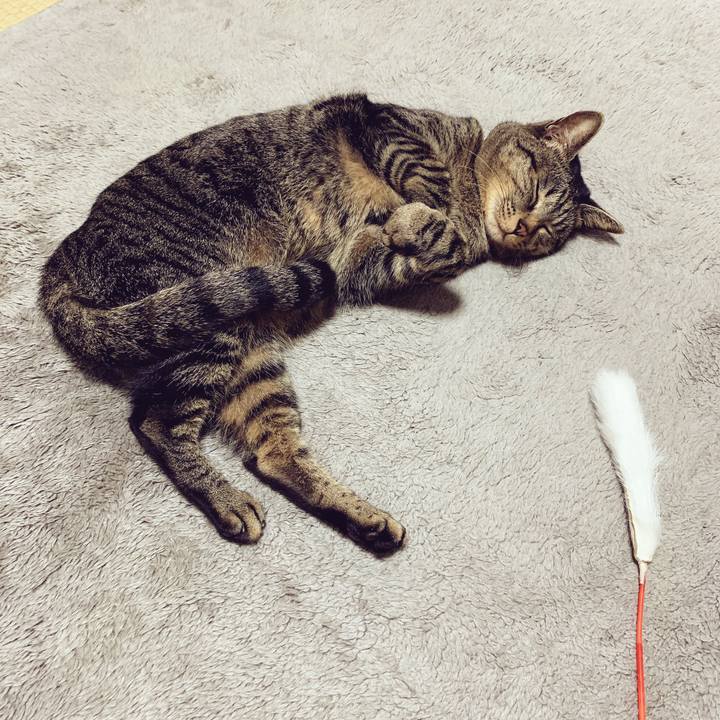 F1e4923e 50c5 4e71 a047 2fc44600d249 1544094798688