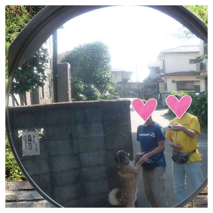 F1e4ac16 751d 4682 a9ce 6969d57f8b81 1576682698720