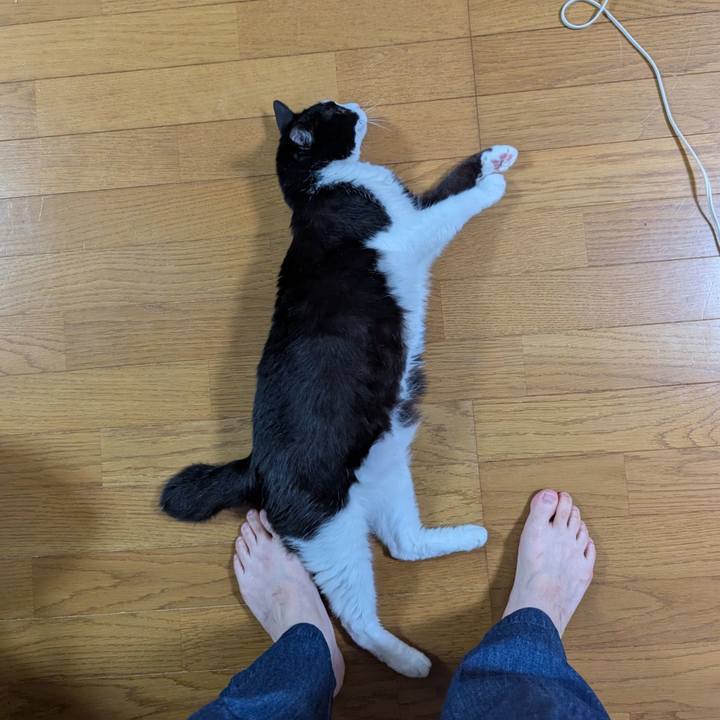 F1e4e730 cad2 4ea6 998a 28b0cd59d93b 1752734824174