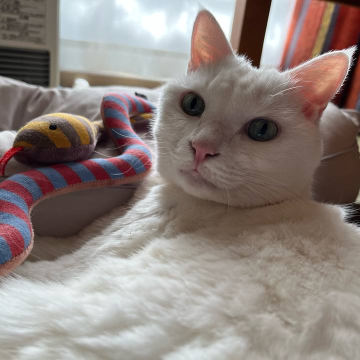 F1e4eae4 5047 4c38 98b7 71b2e5b44832 1733043141515