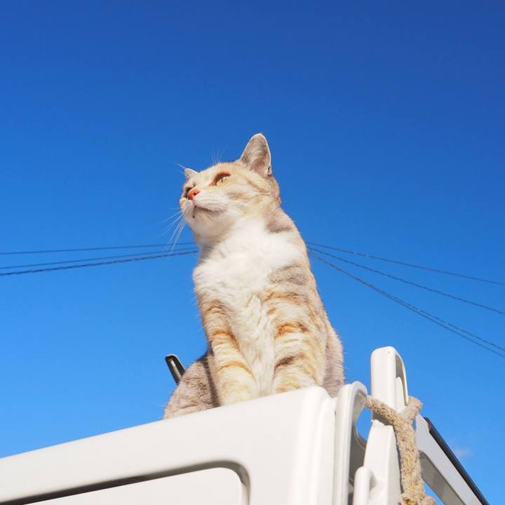 F1e54cf5 e20d 4f3c badd e652226b4dff 1765975944760