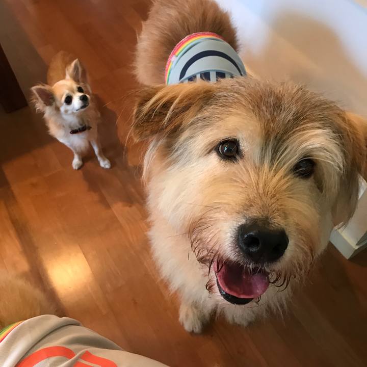 F1e56234 3711 4c19 860f be700f33ecfe 1538920437189