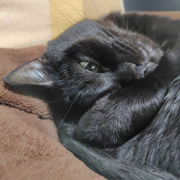 F1e59413 7307 4674 9dda 4b9b7a5e0c48 1733564077773