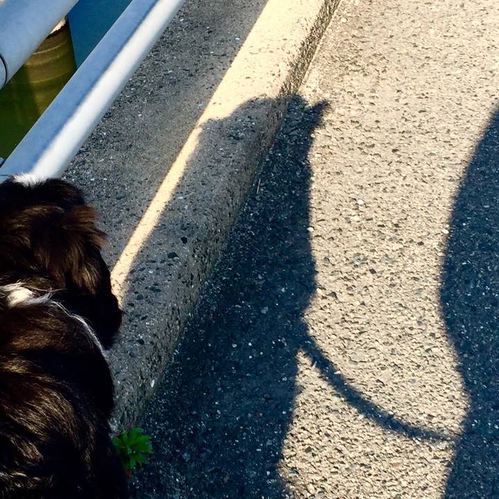 F1e5bc35 18ba 4836 a0c6 5e7fd59c65b9 1588115993585