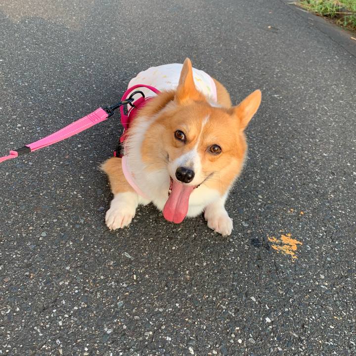 F1e5c2c1 bf5f 44bc ad92 79be54e4a556 1598649028347