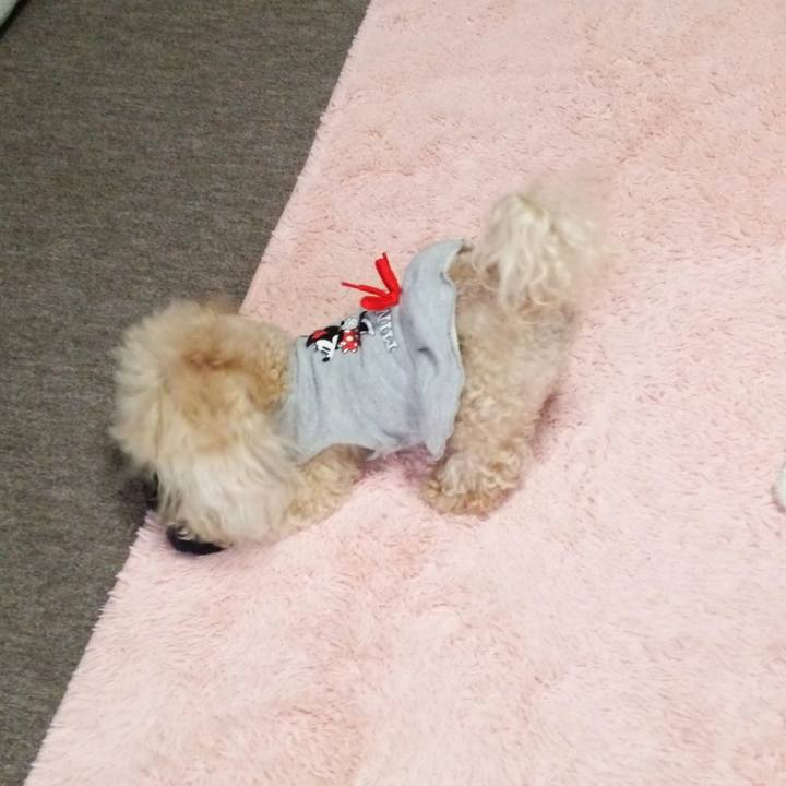 F1e5c74b 9571 486e 9961 246ca48ffd83 1539776811812