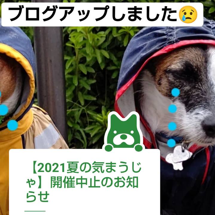 F1e5cec5 f866 4a70 b164 af259cceebba 1629247668626