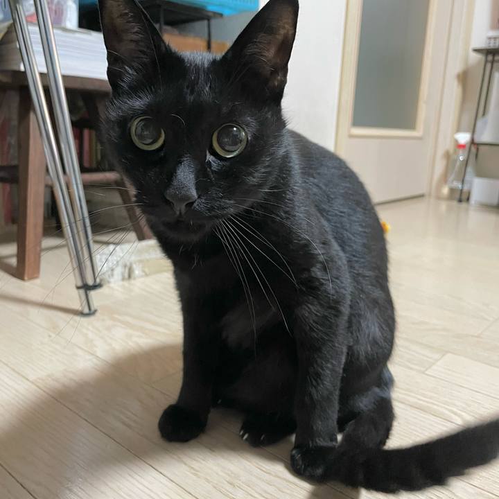 F1e63a27 02b6 41a1 a28b 0e1ab8f5c13d 1732702356281