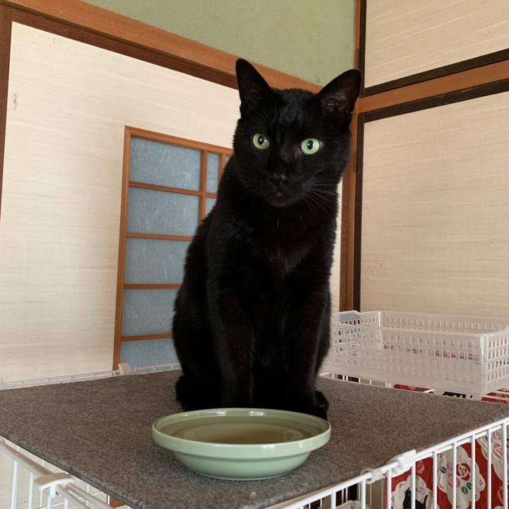 F1e64861 4843 4128 acc5 76f5997f9a02 1553390377749