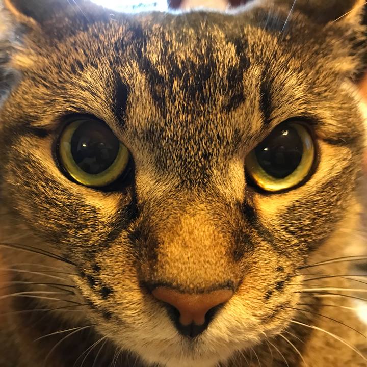 F1e6bbee fb6e 41f6 a588 9eb7191d9fcc 1528032297739