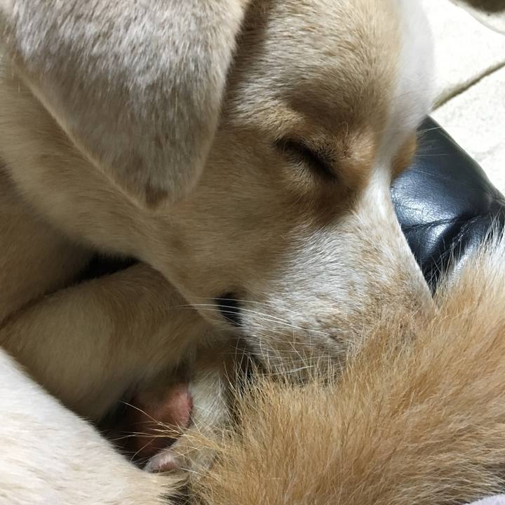 F1e6cc7c 0a07 4d36 95e0 b029d70cf472 1514553849435