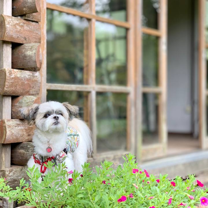 F1e6ec13 8e0f 41e1 b08d 9ca62bbeb4ed 1600574718255