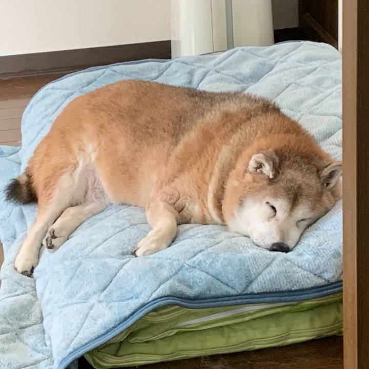 F1e6eec0 cd93 472b 8813 f4bb74ae1244 1638106618810