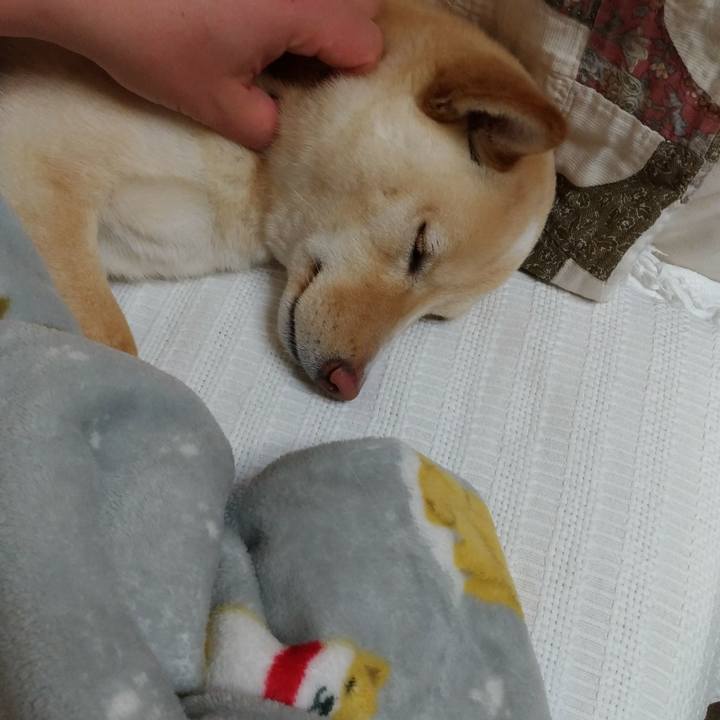 F1e73f4d f9d5 404c 888c c35490bc5fb0 1518265205430