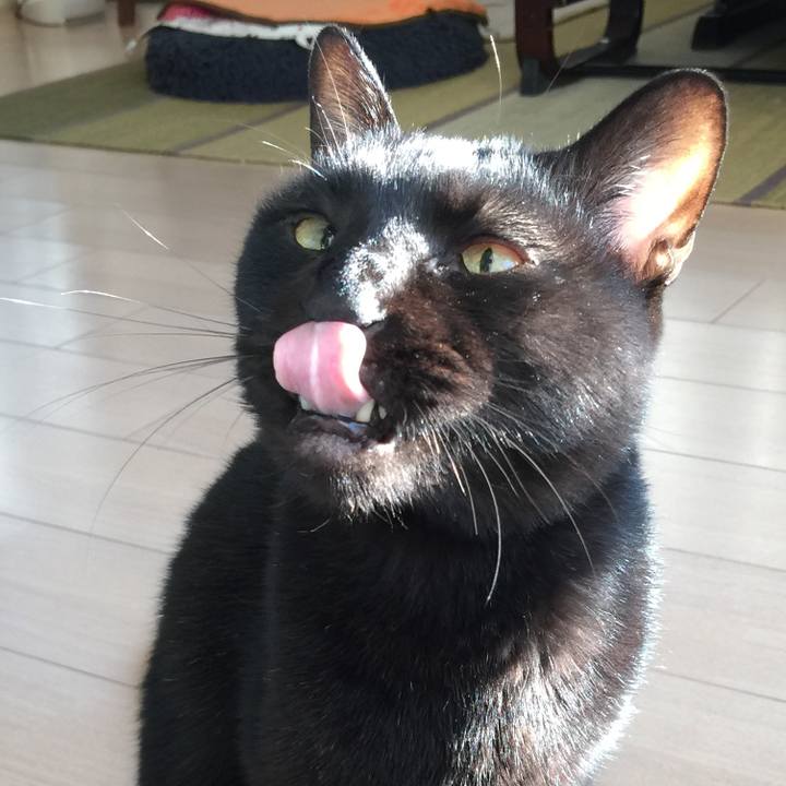 F1e75196 d45c 4a8a 8ff0 b8834a90da66 1576391379718