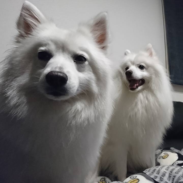 F1e75272 8108 43ba adf8 656bf7a998a8 1592659871165